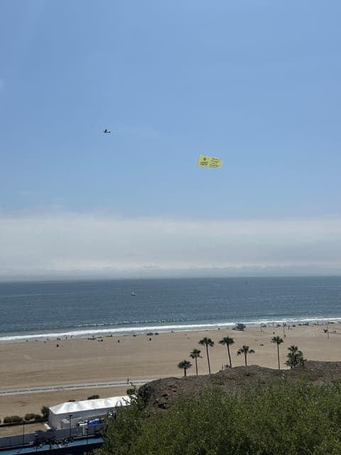 undefined Gallery Image 1