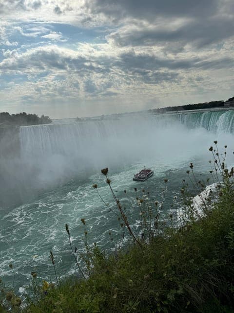 undefined Gallery Image 4