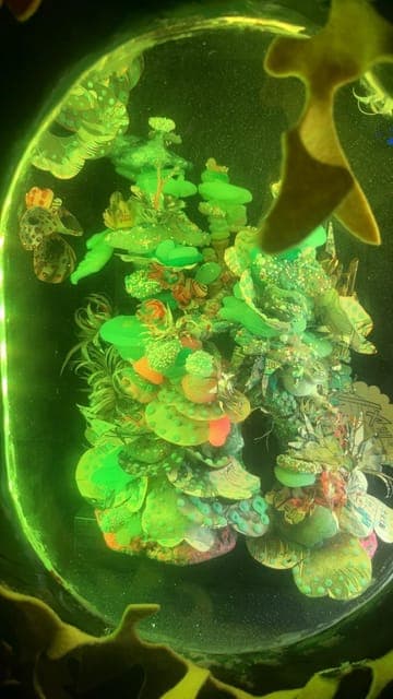 undefined Gallery Image 1