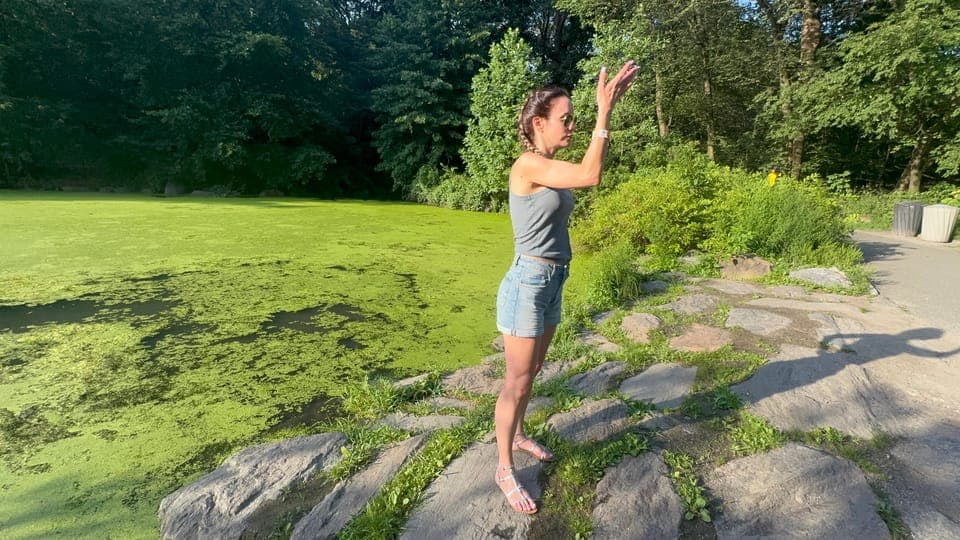 undefined Gallery Image 3