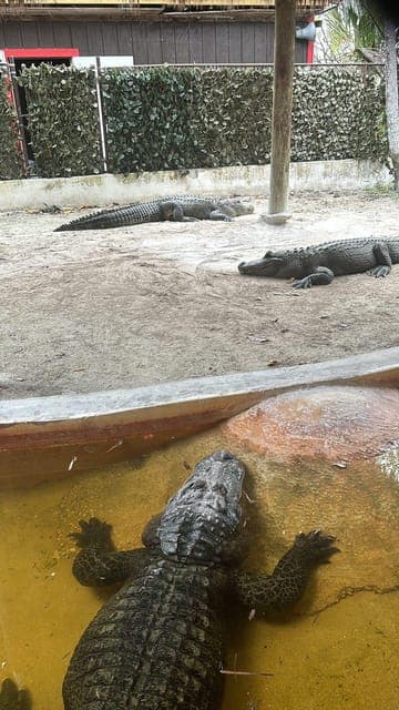 undefined Gallery Image 4