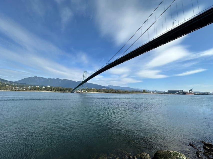 undefined Gallery Image 4