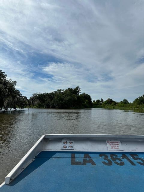 undefined Gallery Image 3