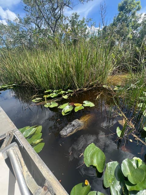 undefined Gallery Image 2