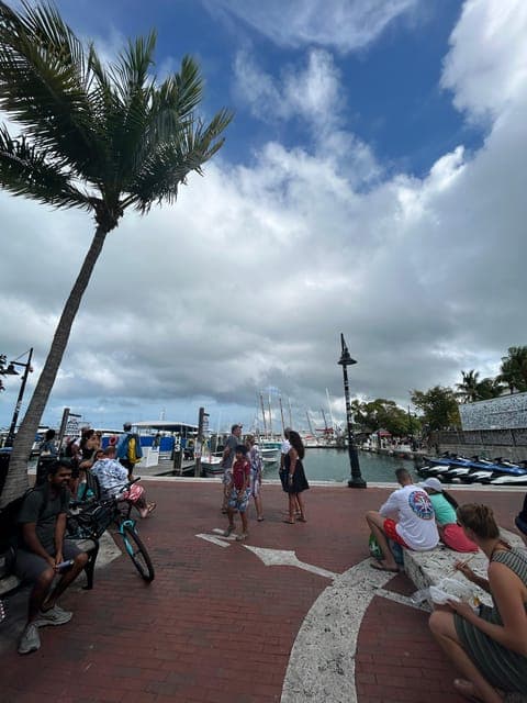 undefined Gallery Image 3