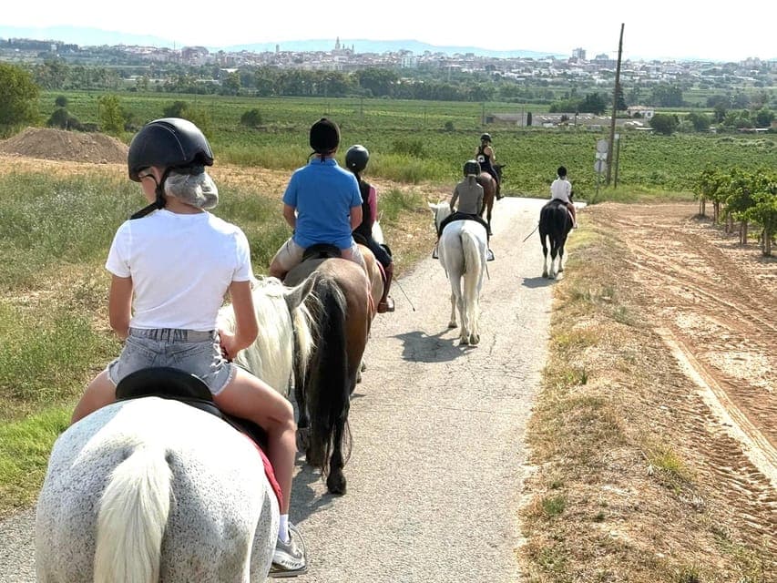 undefined Gallery Image 3