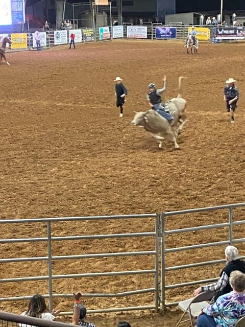 undefined Gallery Image 4