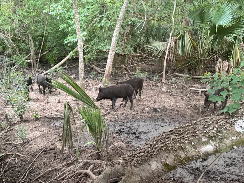 undefined Gallery Image 2