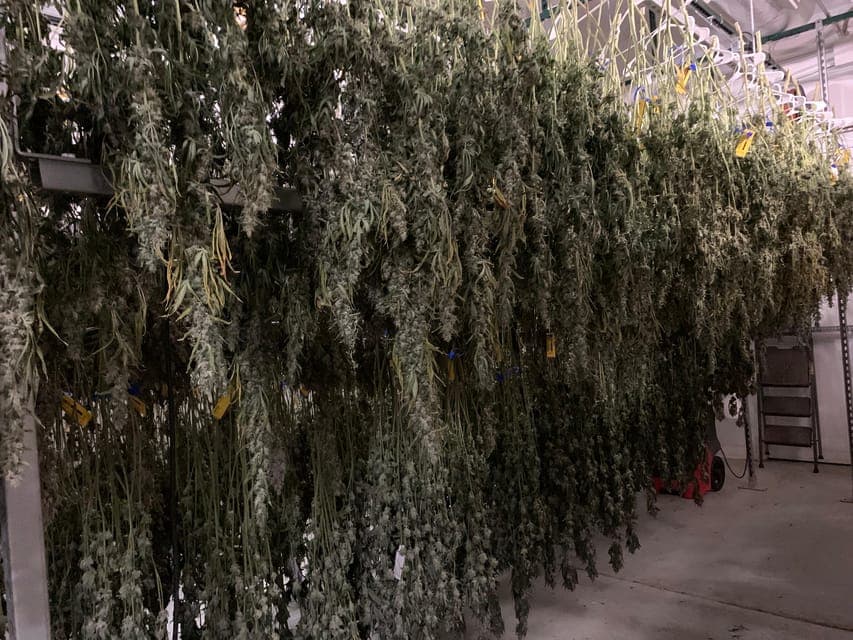 undefined Gallery Image 2