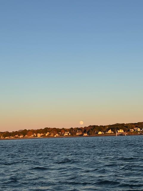 undefined Gallery Image 4