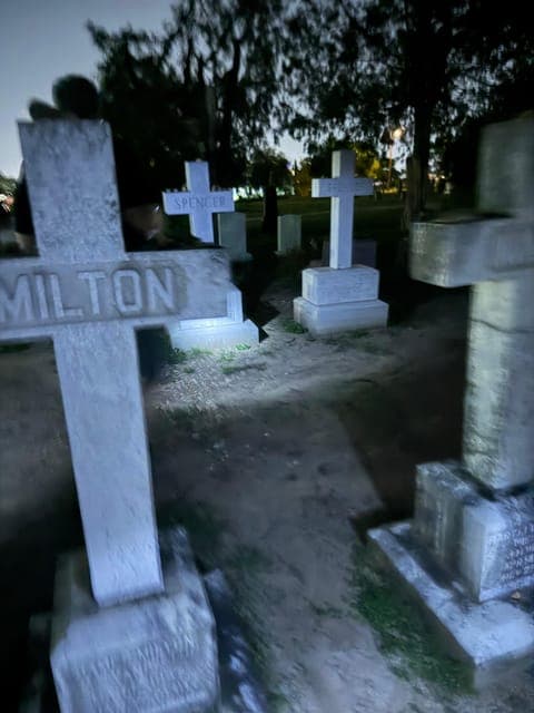 undefined Gallery Image 1