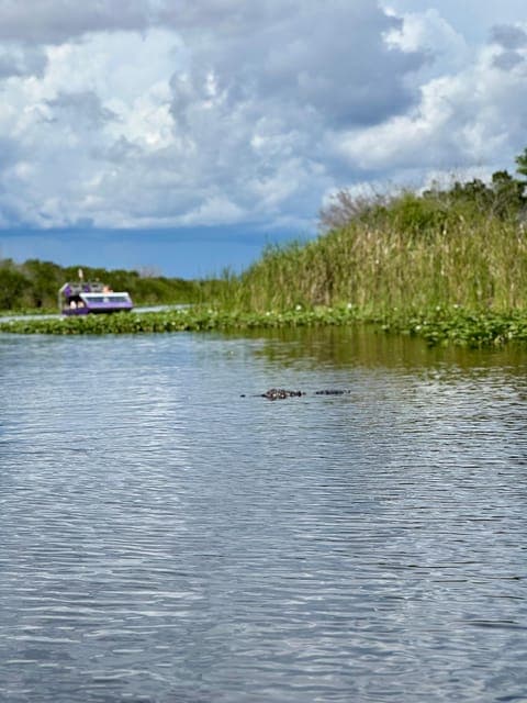 undefined Gallery Image 3