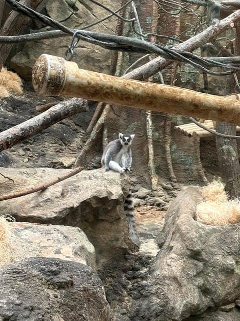 undefined Gallery Image 4