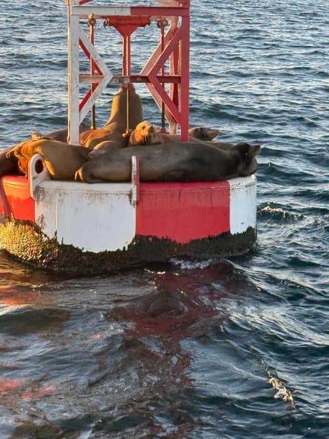 undefined Gallery Image 2