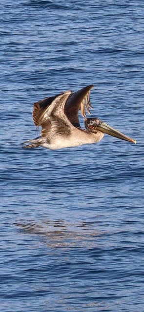 undefined Gallery Image 4