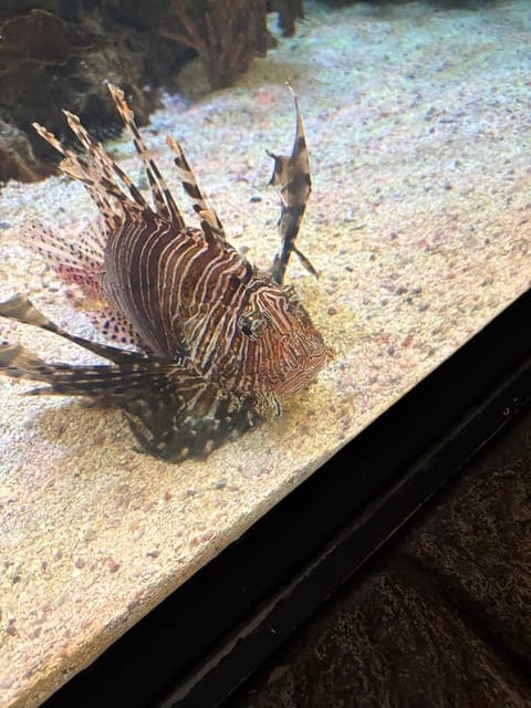 undefined Gallery Image 1