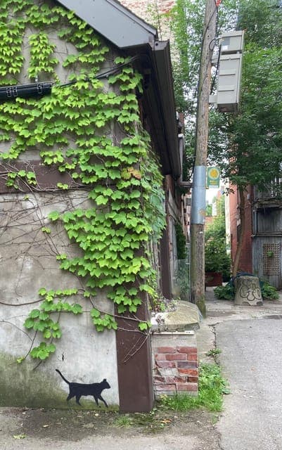 undefined Gallery Image 1