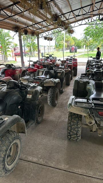 undefined Gallery Image 1