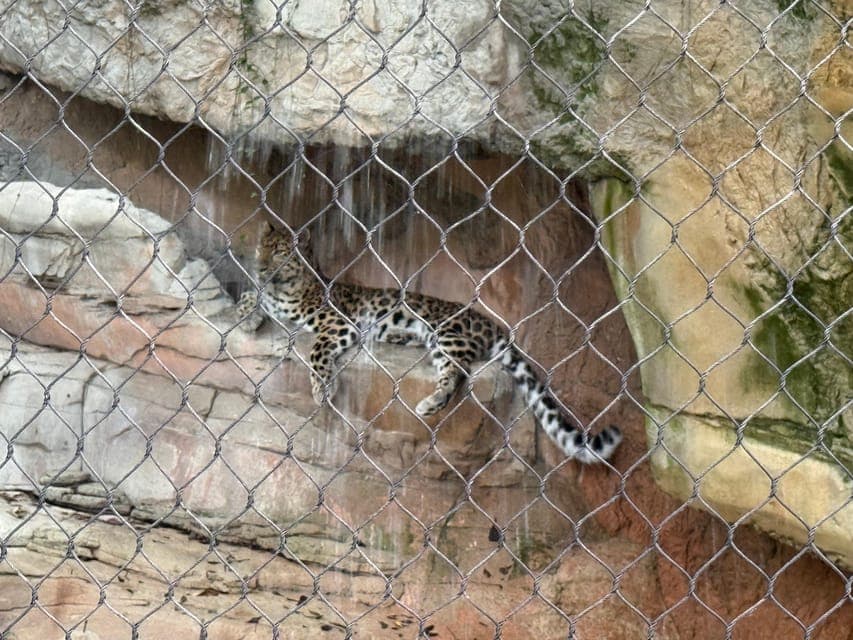 undefined Gallery Image 2