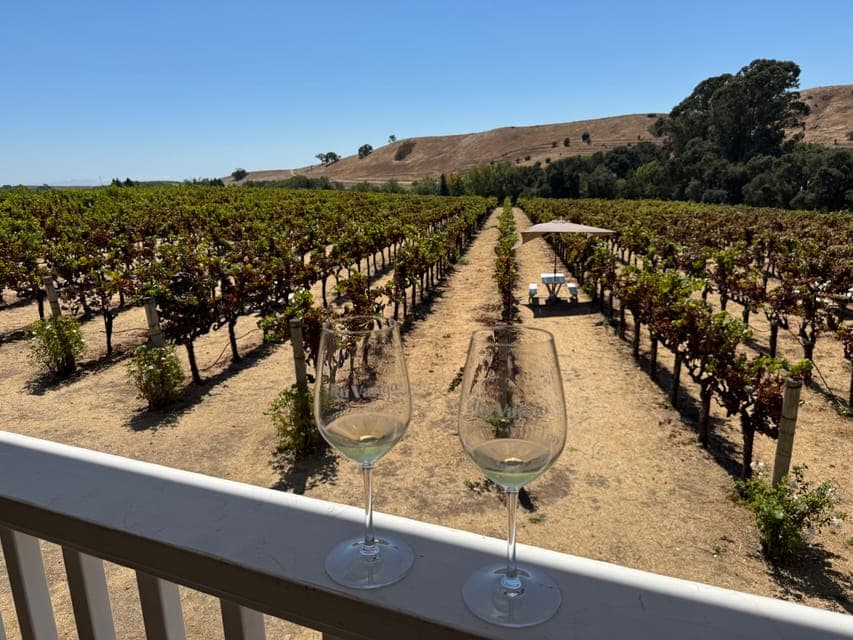 undefined Gallery Image 4