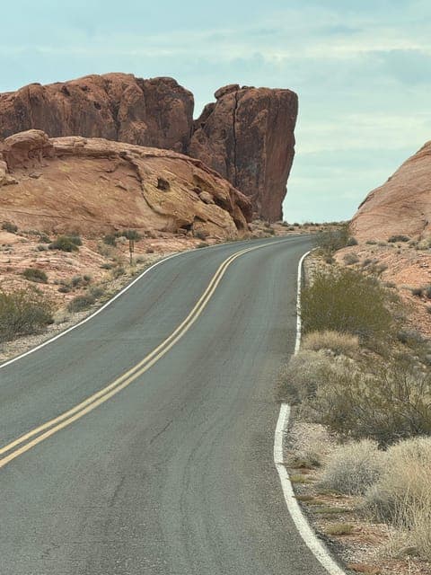 undefined Gallery Image 4