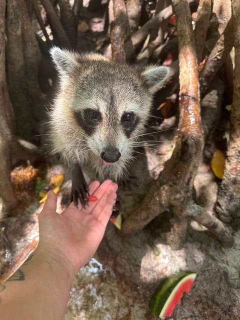 undefined Gallery Image 4