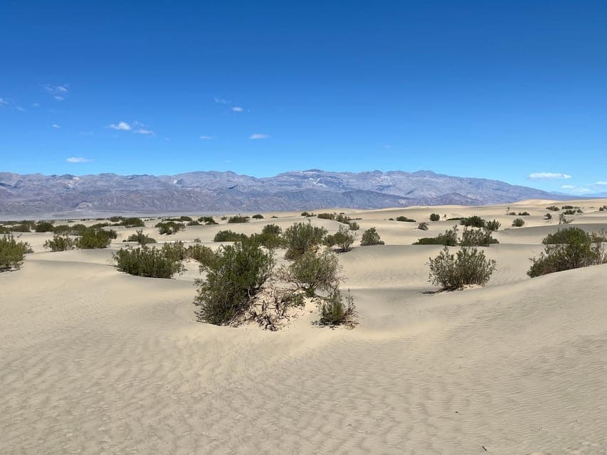 undefined Gallery Image 2