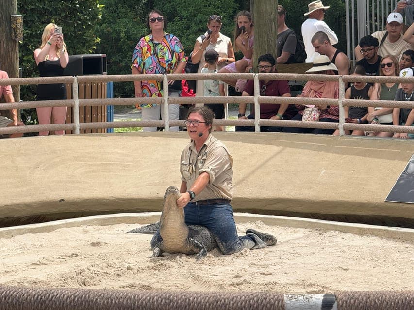 undefined Gallery Image 1