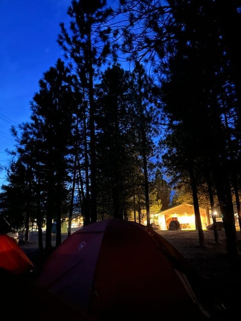 undefined Gallery Image 3