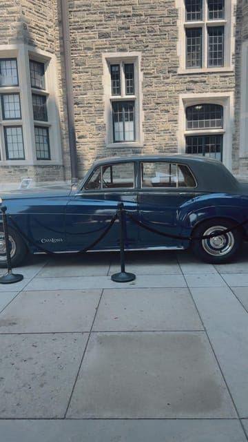 undefined Gallery Image 3