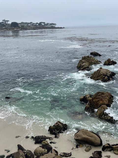 undefined Gallery Image 2