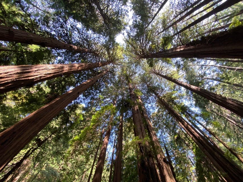 undefined Gallery Image 4