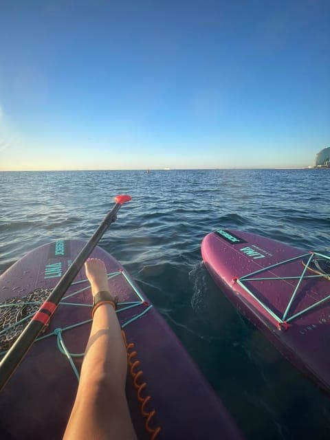 undefined Gallery Image 4