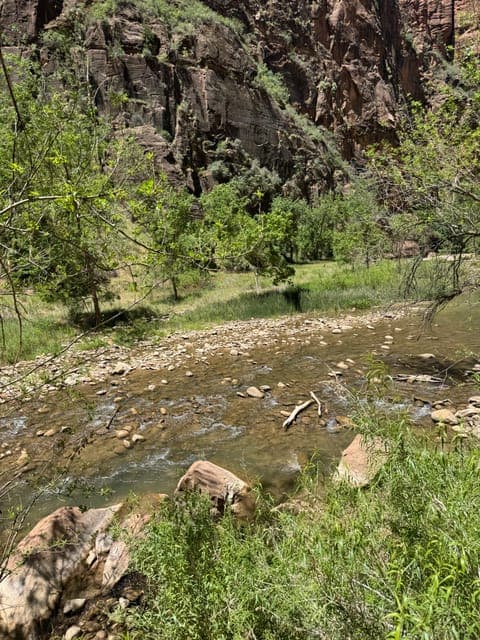 undefined Gallery Image 3