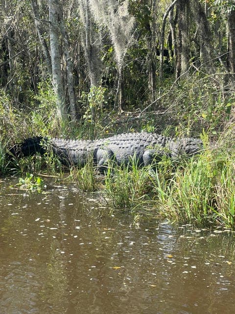 undefined Gallery Image 1