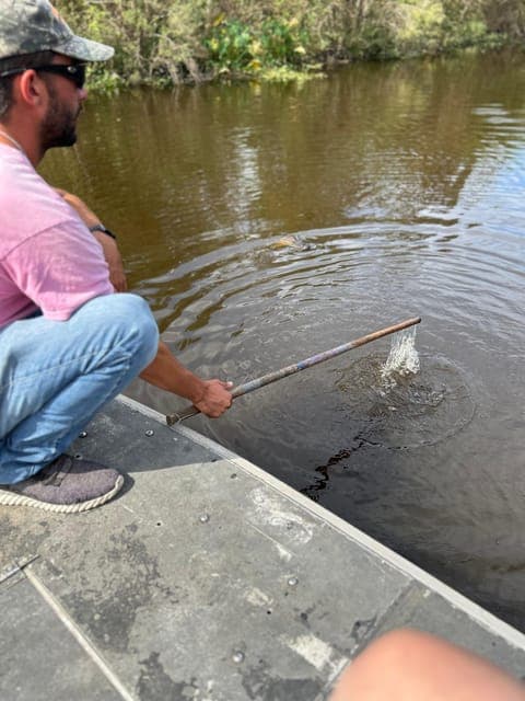 undefined Gallery Image 4