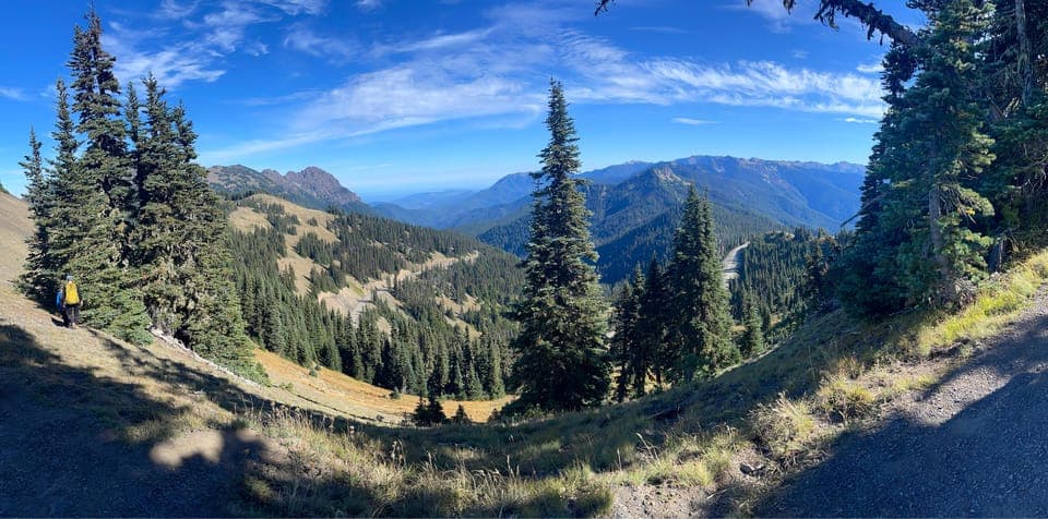 undefined Gallery Image 1