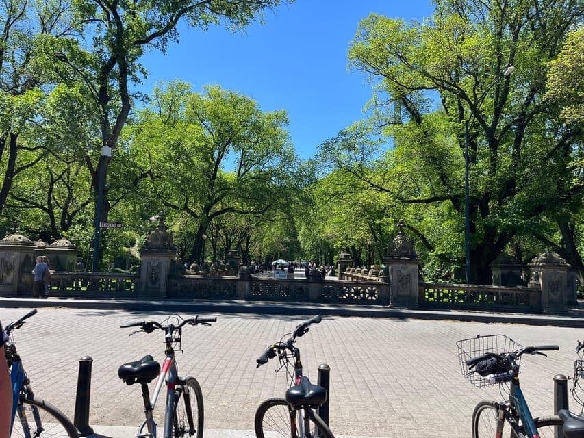 undefined Gallery Image 4