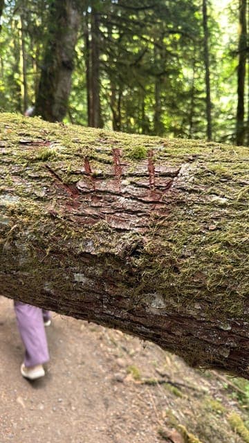 undefined Gallery Image 4