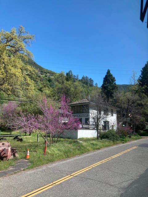 undefined Gallery Image 1