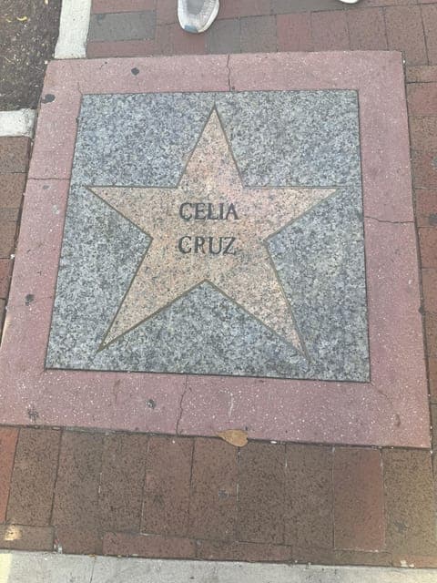 undefined Gallery Image 1