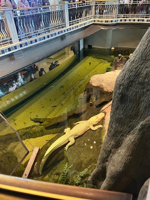 undefined Gallery Image 4