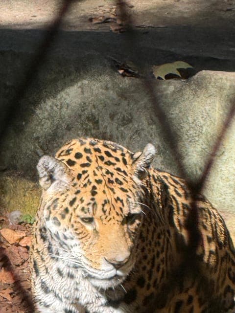 undefined Gallery Image 3