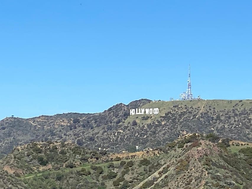 undefined Gallery Image 3