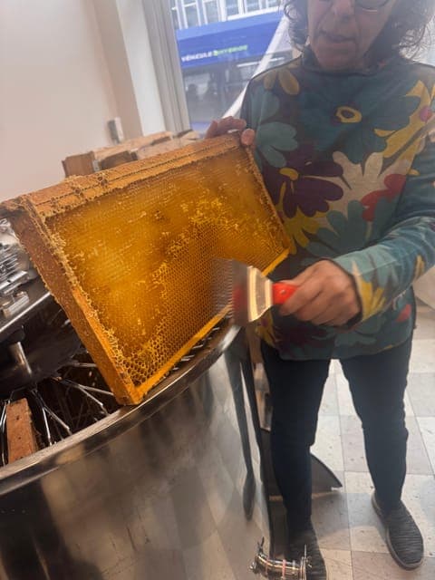 undefined Gallery Image 4