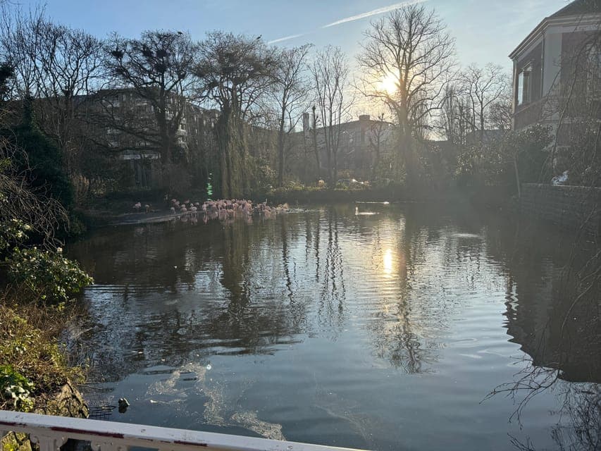 undefined Gallery Image 3