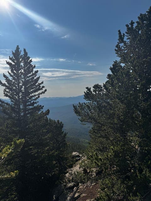 undefined Gallery Image 1