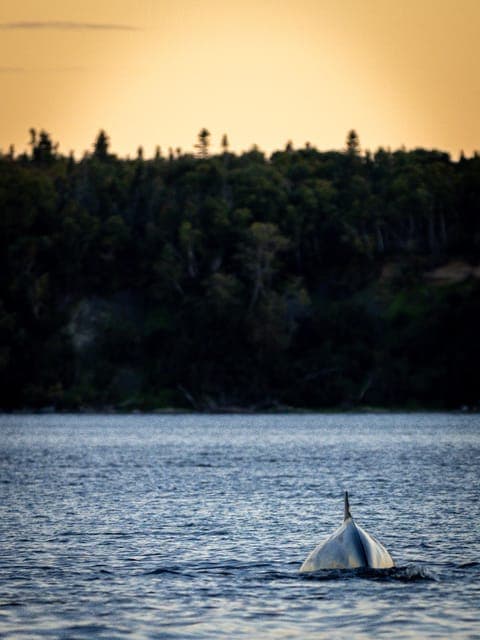 undefined Gallery Image 1