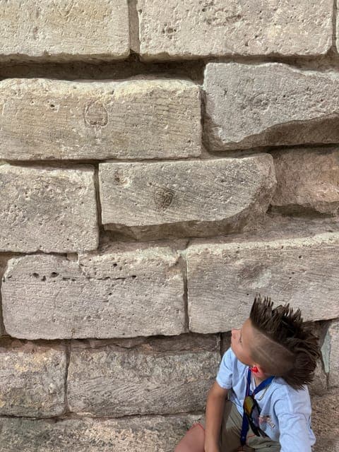 undefined Gallery Image 1