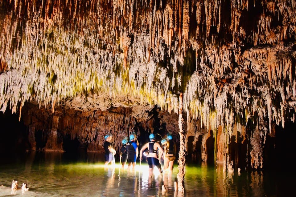 undefined Gallery Image 3